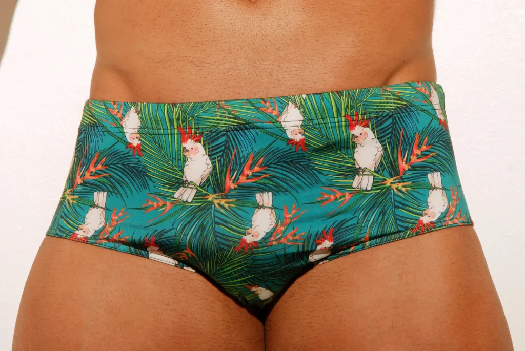 4 Types of Speedo Swimsuits for Men 5